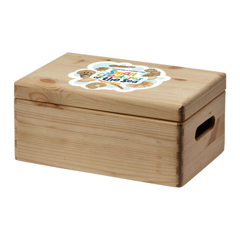 creatures of the sea box mockup