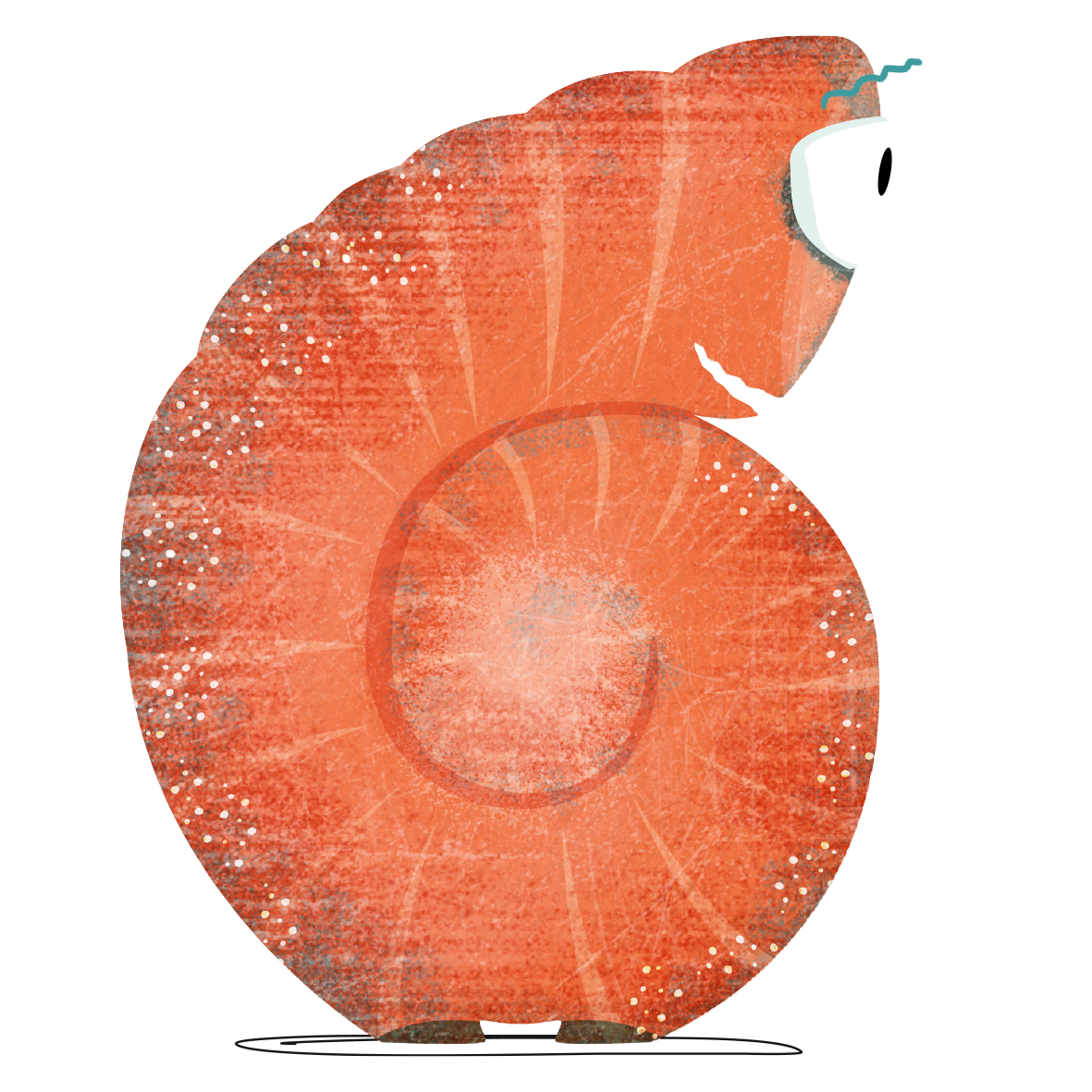 Foramitales_Berry_side_view